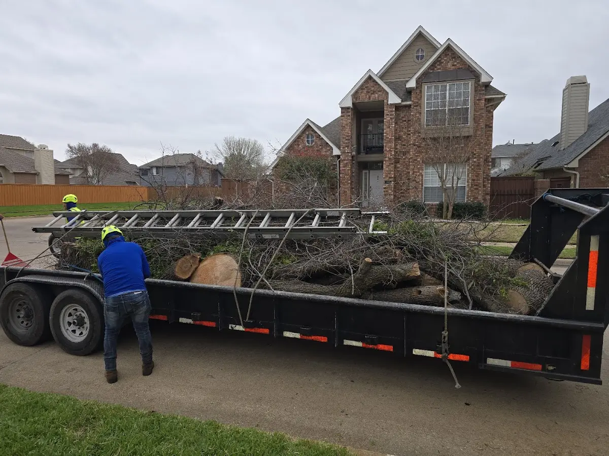 Expert Tree Fertilization with proper safety equipment in Nanjemoy